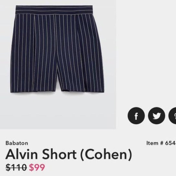 Aritzia Alvin (Cohen) Short Size 0 Navy and White Striped Dress Shorts - Picture 4 of 5